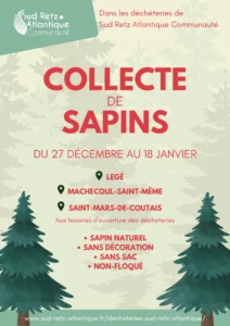 Collecte de sapins de noel