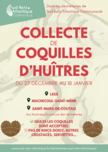 collecte de coquilles d'huître